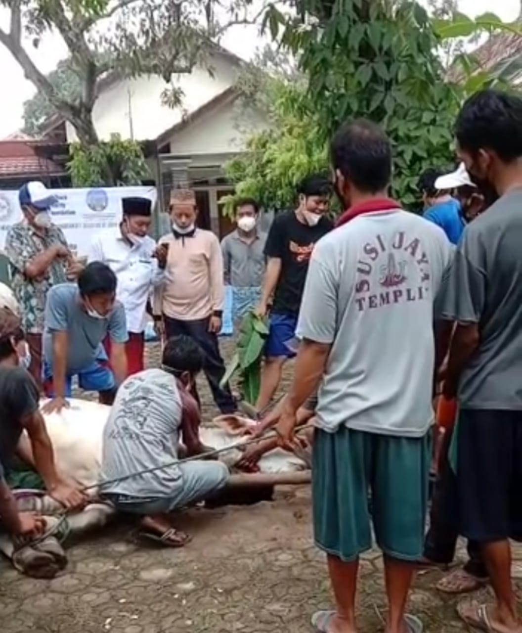 Peduli Sesama, IHW Bersama Mitra Pegiat Halal Lakukan Kurban di Empat Daerah