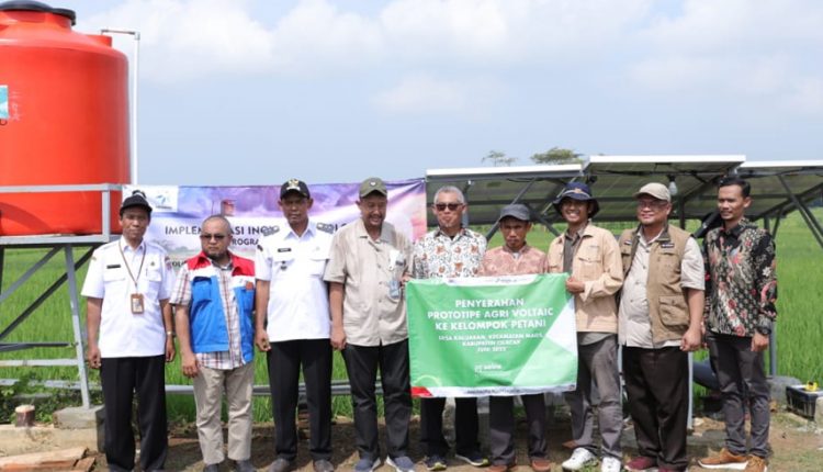 Sinergi Pertamina Wujudkan Petani Mandiri Energi (Dok : BUMN)