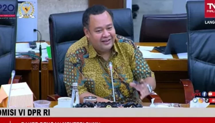Wakil Ketua Komisi VI DPR RI Mohamad Hekal. (ANTARA/tangkapan layar)