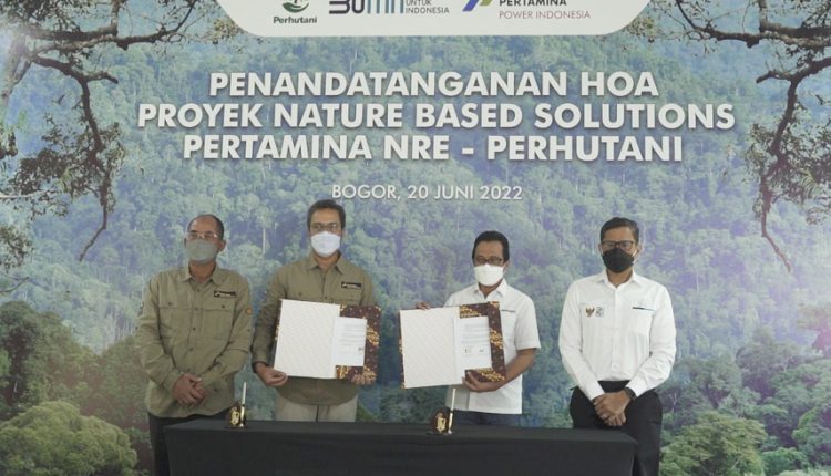 Pertamina dan Perhutani Sinergi Pengembangan NBS (Dok : BUMN)