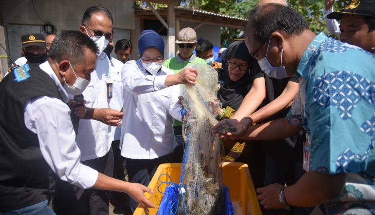 Dok : Kementerian Keuangan