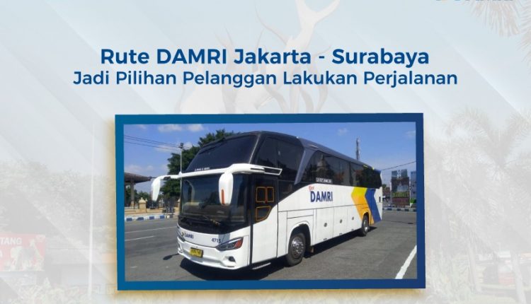 (dok. DAMRI)