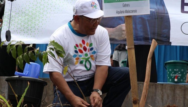 Direktur Utama PT Sucofindo Mas Wigrantoro menanam pohon secara simbolis dalam kegiatan 1.066 batang pohon