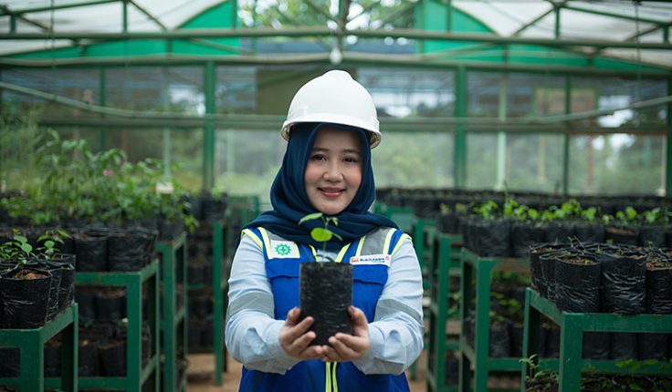 Tiga Strategi Bukit Asam Menuju Net Zero Emission