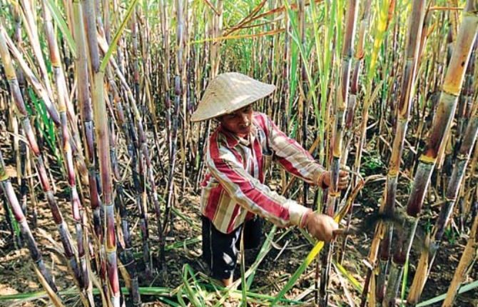 Ilustrasi. (dok. MNC)