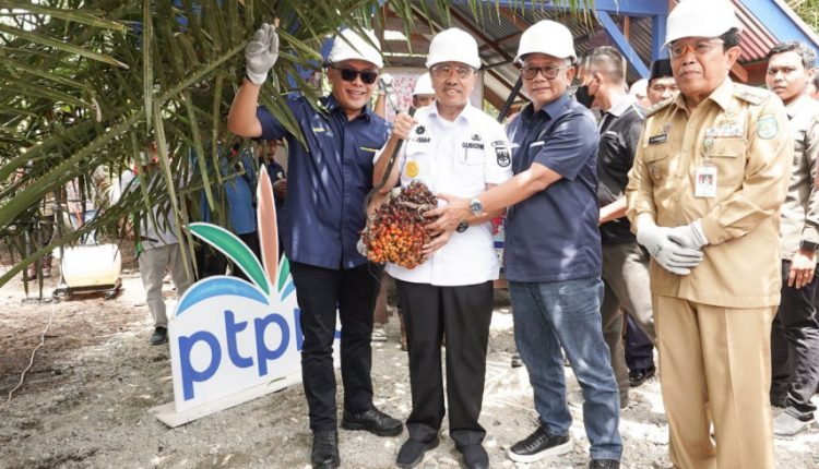 Gubernur Riau Akui PSR PTPN V Tingkatkan Produktivitas Sawit Petani (Dok : BUMN)