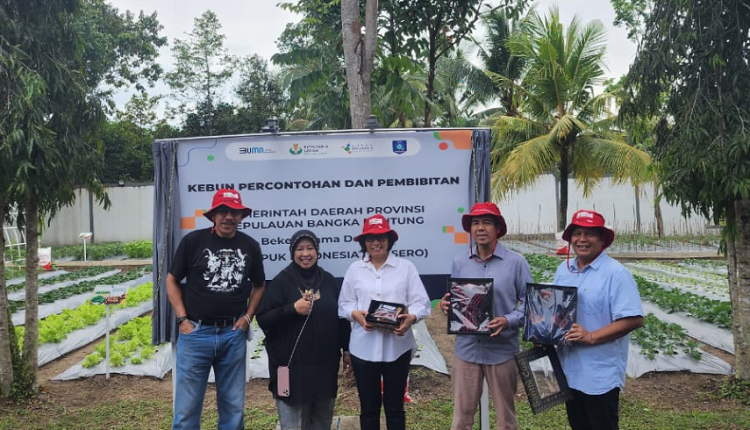 Dok : BUMN