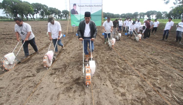 Dukung Program Swasembada Pangan, PTPN X Tanam Kedelai (Dok : BUMN)
