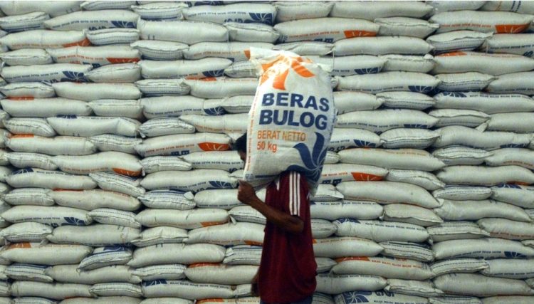 Menghadapi Kemungkinan Dampak El Nino, Bulog Percepat Proses Impor Beras (Dok : Medcom Indonesia)